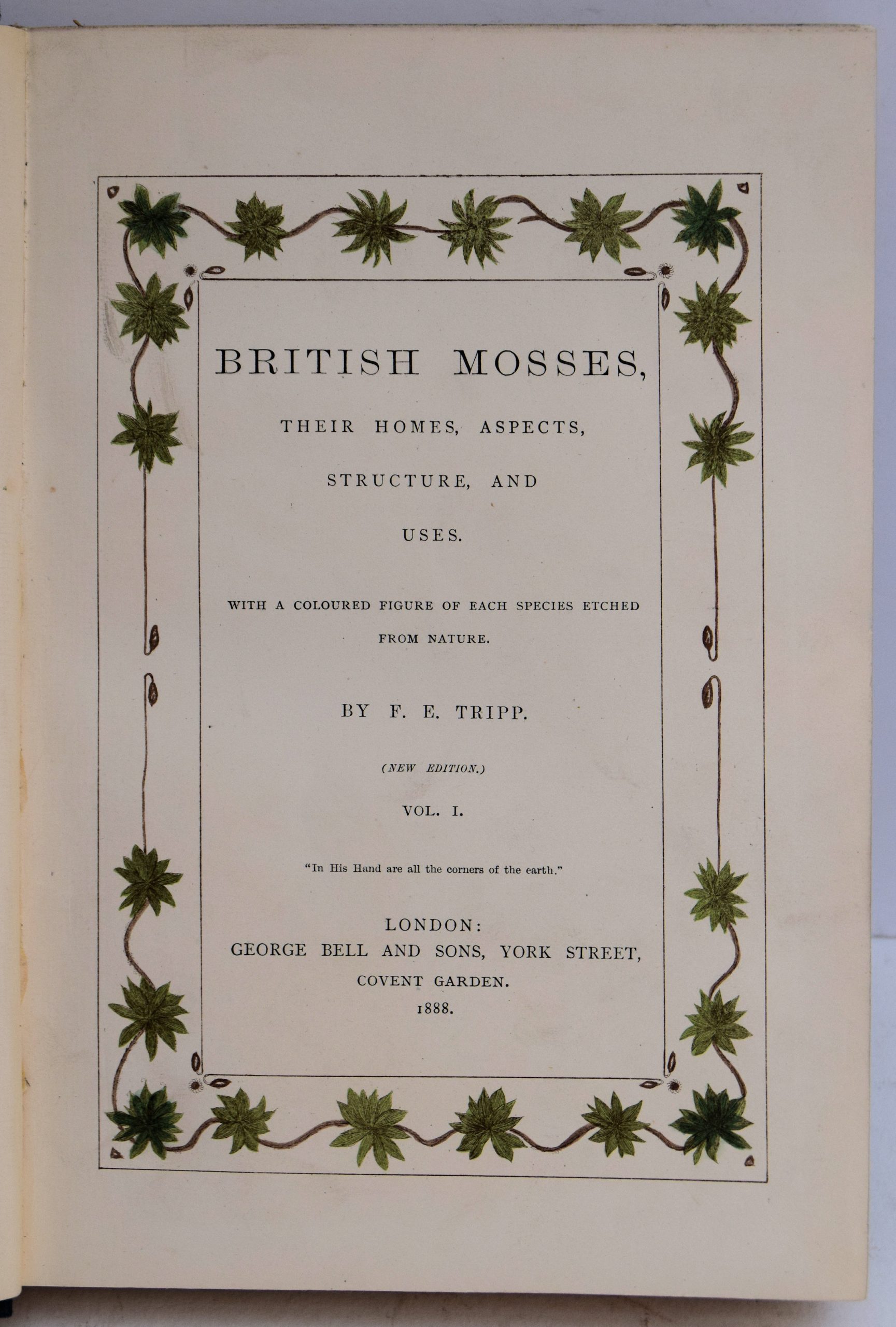 BRITISH MOSSES, - Image 2