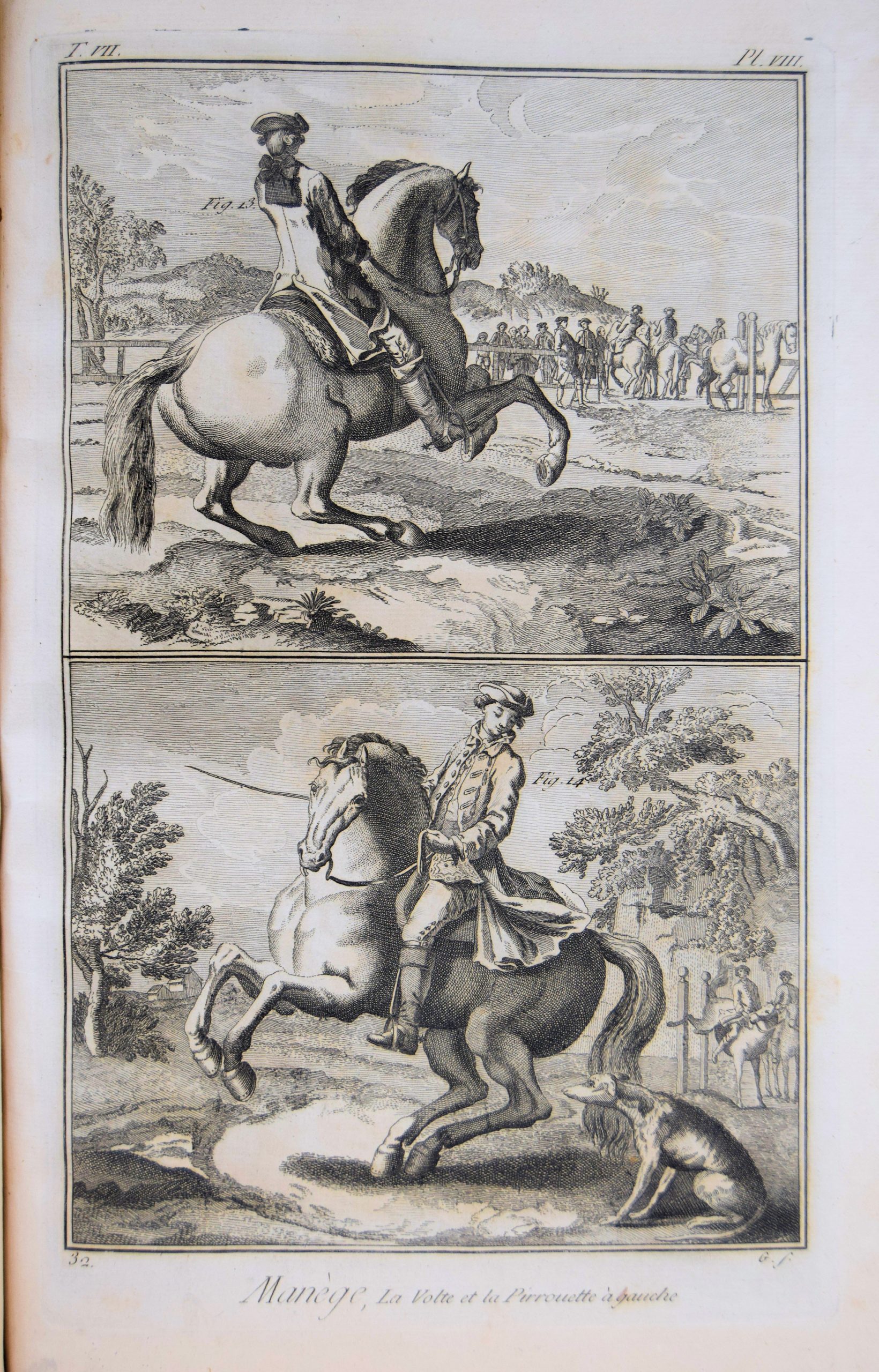MANEGE ET ?QUITATION. MAR?CHAL FERRANT. MAR?CHAL GROSSIER.