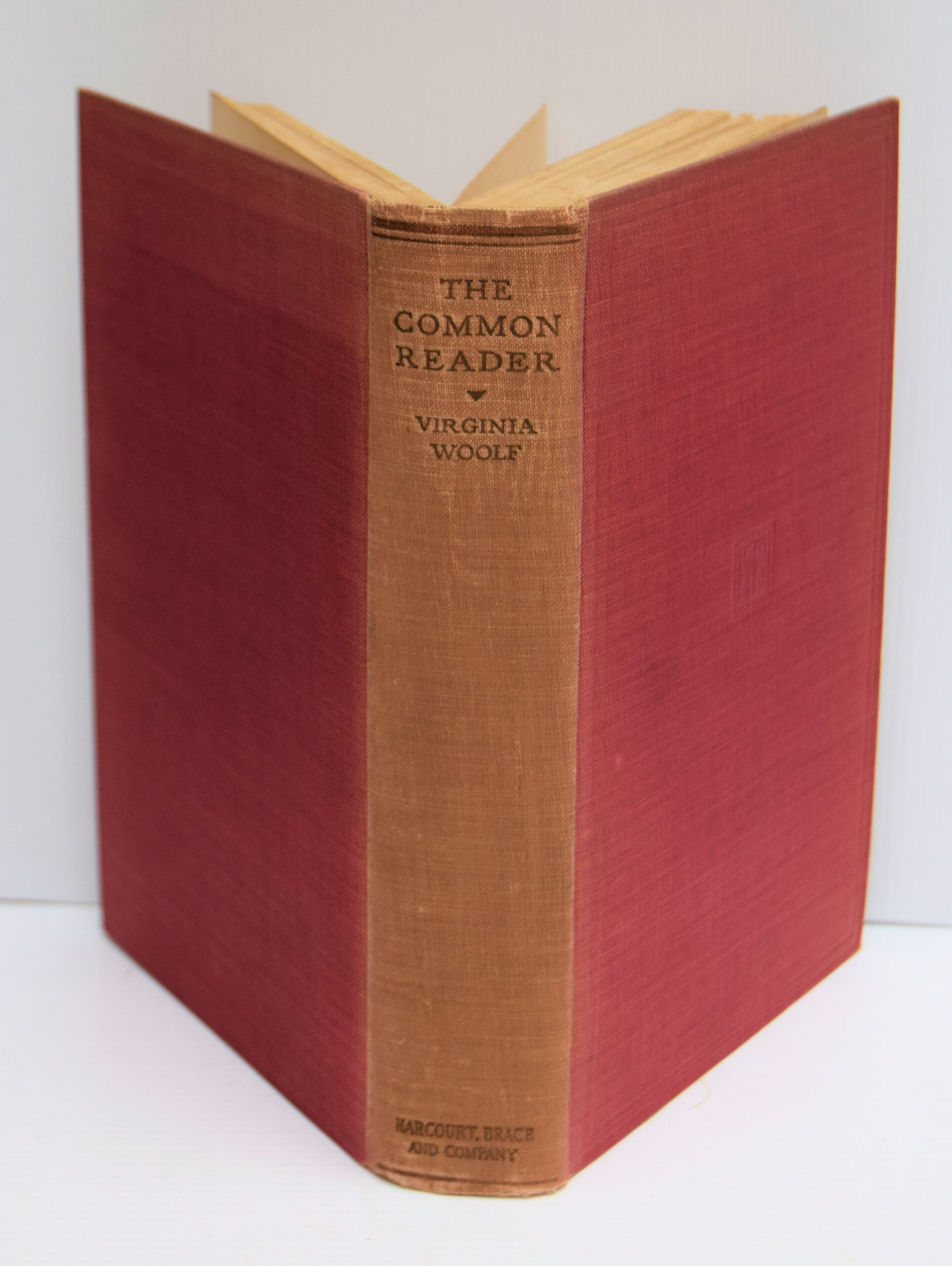 THE COMMON READER.