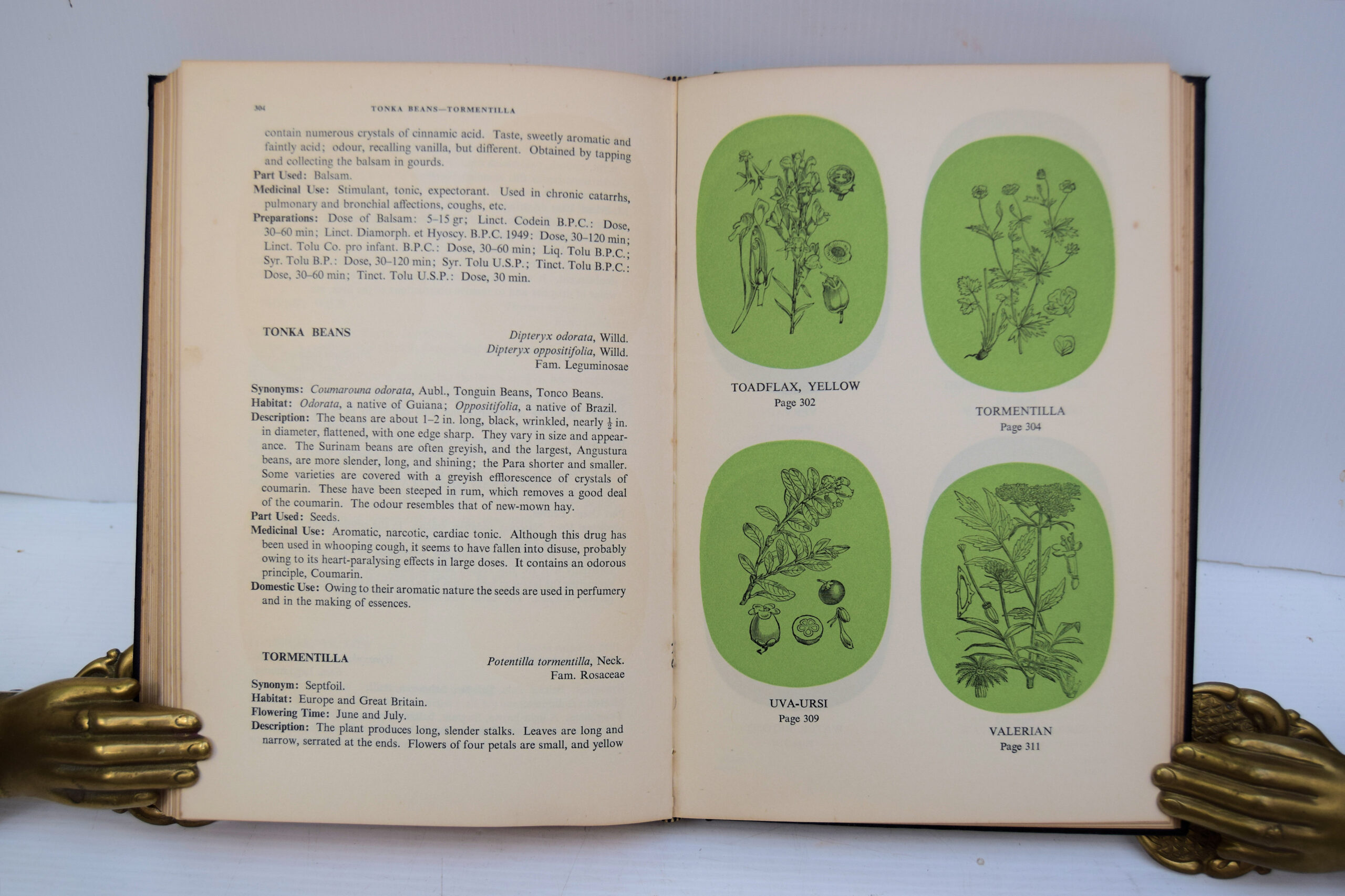 Potter's New Cyclopaedia of Botanical Drugs and Preparations. - Image 3